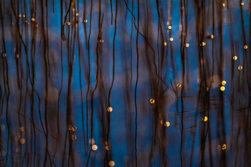 Vertical, dark brown branches or reeds in sharp focus against a blurred blue background, with several small, round, warm yellow lights creating a bokeh effect throughout the image.