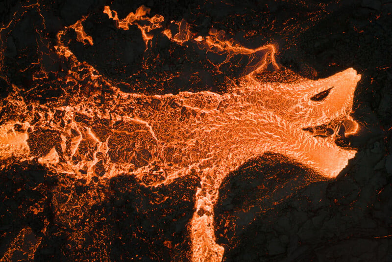 Aerial view of flowing molten lava, glowing bright orange against dark, solidified rock, forming patterns that resemble the shape of a dragon or animal.