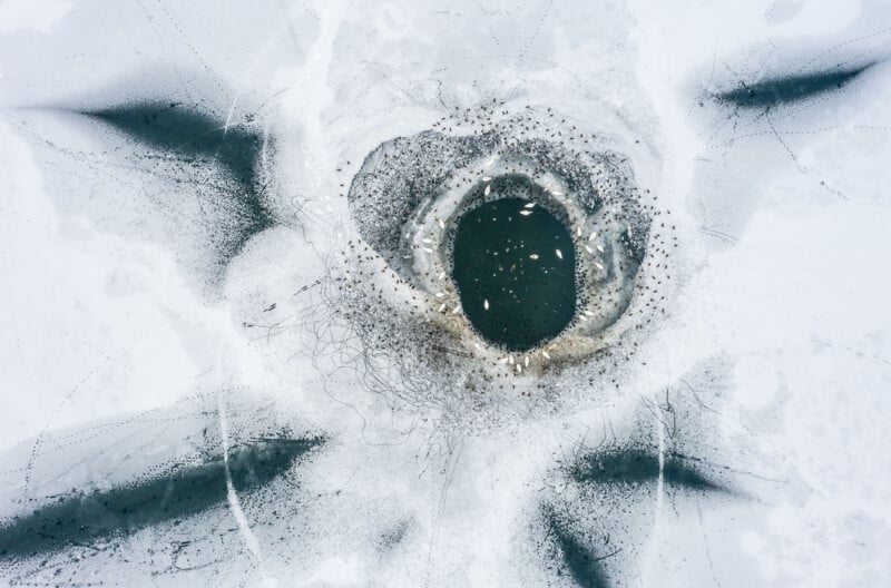 Aerial view of a circular hole in a frozen lake surrounded by snow, cracks, and scattered footprints, creating a striking, abstract pattern on the icy surface.