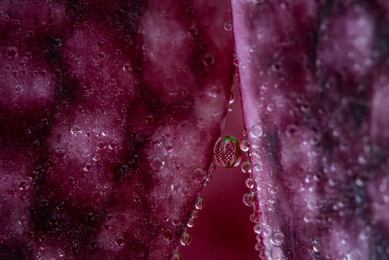 Close-up of purple flower petals covered in water droplets, with a small dewdrop reflecting a green and pink pattern in the center. The image highlights the texture and moisture on the petals.