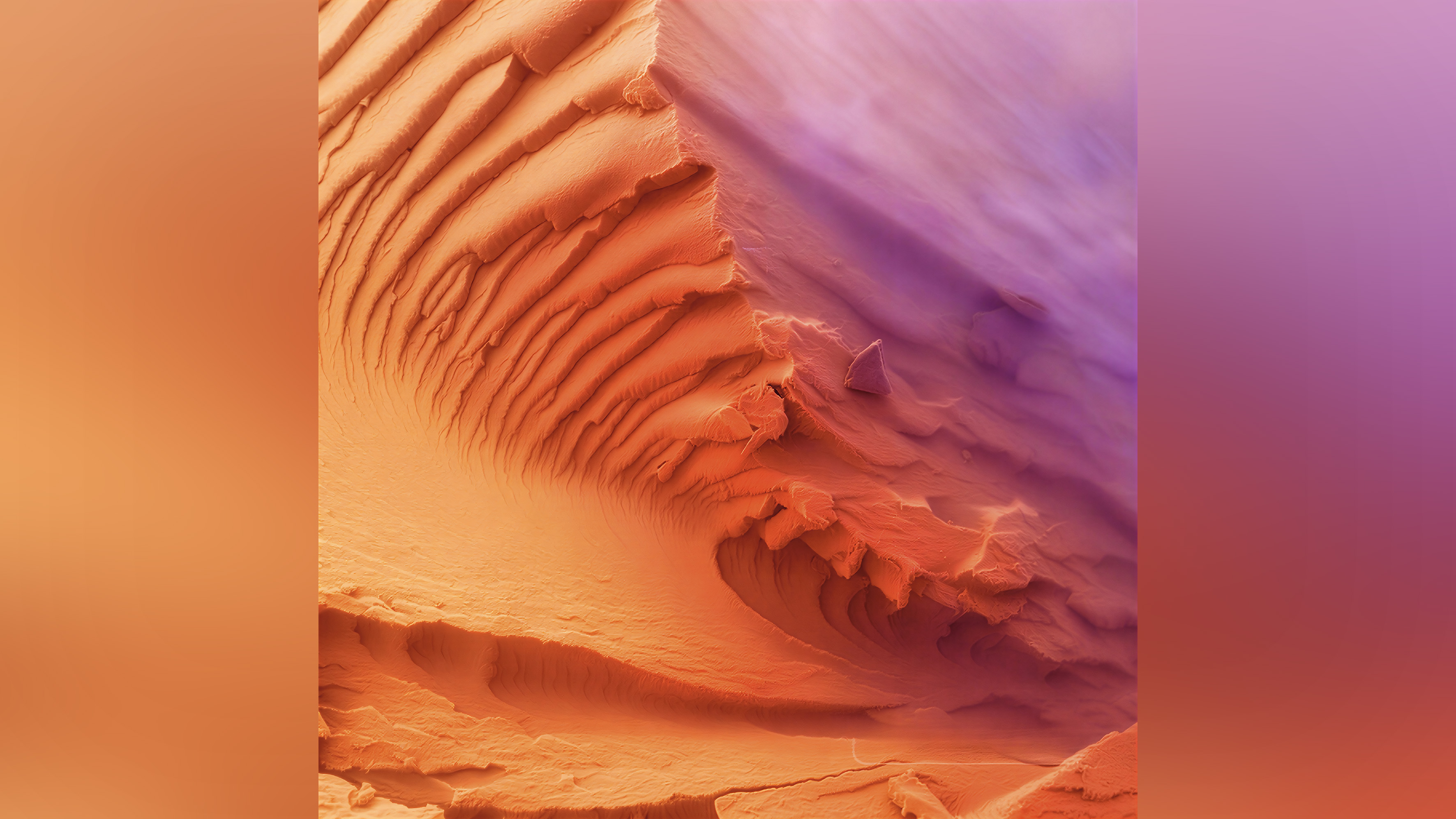 Microscopic image of plant fibre.