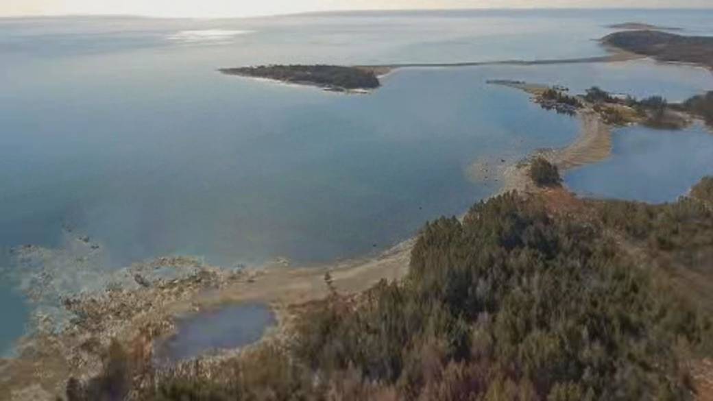 Click to play video: '‘Retirement home’ for whales nears reality in Nova Scotia'