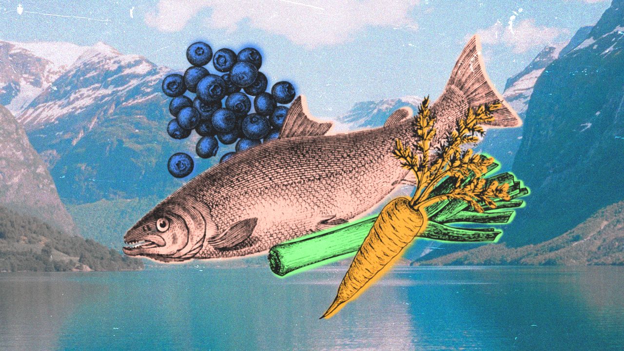 What Is the Nordic Diet and Should You Try It?