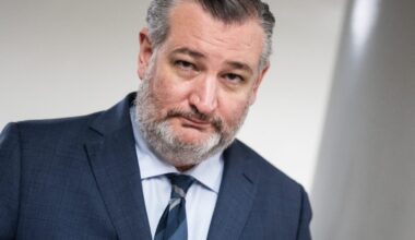 Ted Cruz says Trump accounts are Social Security personal accounts, revealing 'dirty little secret'