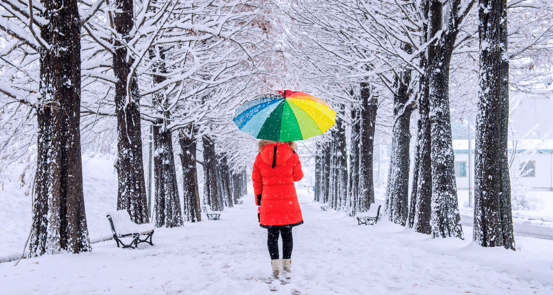 Tomorrow's Weather Calgary (May 17): Cloudy Skies, Snow Alert