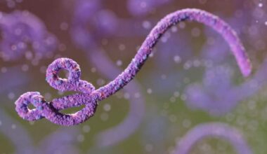 Ontario tests possible Ebola case after East Africa travel, no confirmations