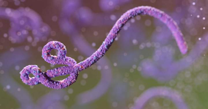 Ontario tests possible Ebola case after East Africa travel, no confirmations