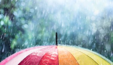 Tomorrow's Weather Ottawa (May 10): Rain Likely, Mild Temperatures