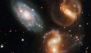 Cosmic Voids May Contain the Universe’s Best Secrets