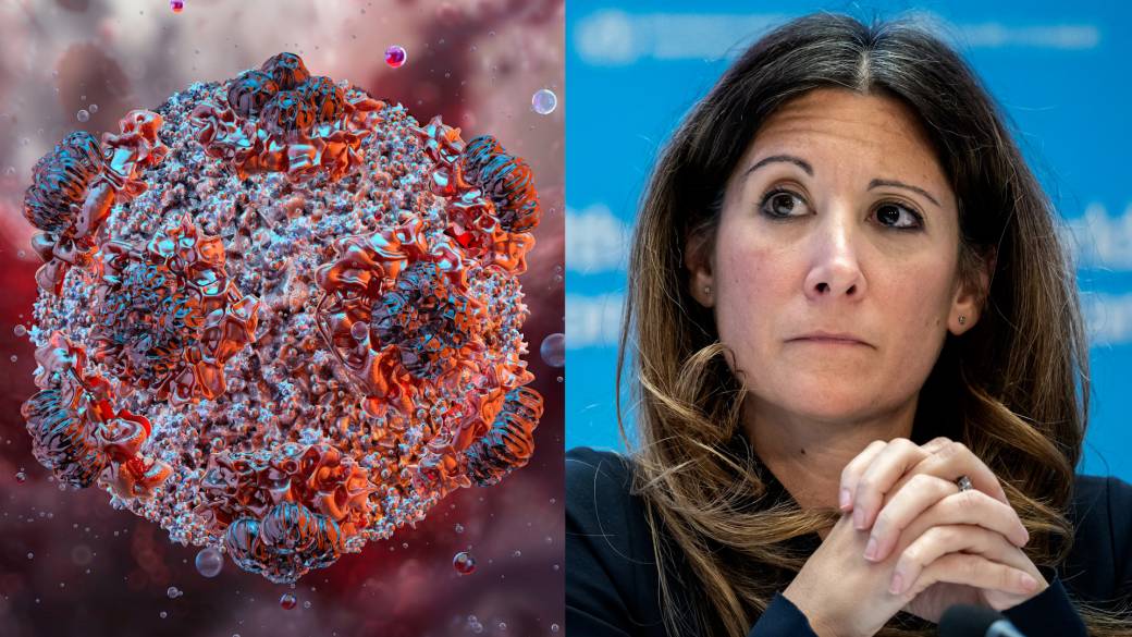 Click to play video: '‘This is not coronavirus’: WHO diffuses concerns of future pandemic amid hantavirus outbreak'