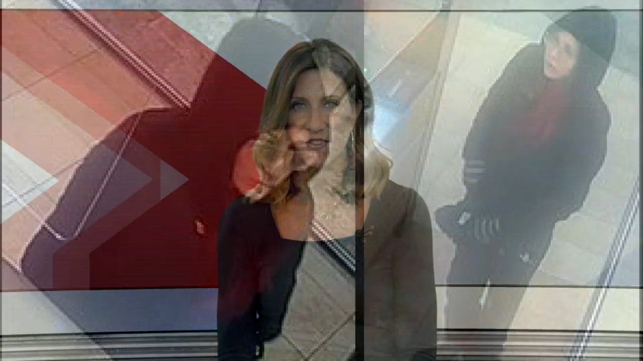 Click to play video: 'Police look for alleged arson suspect'