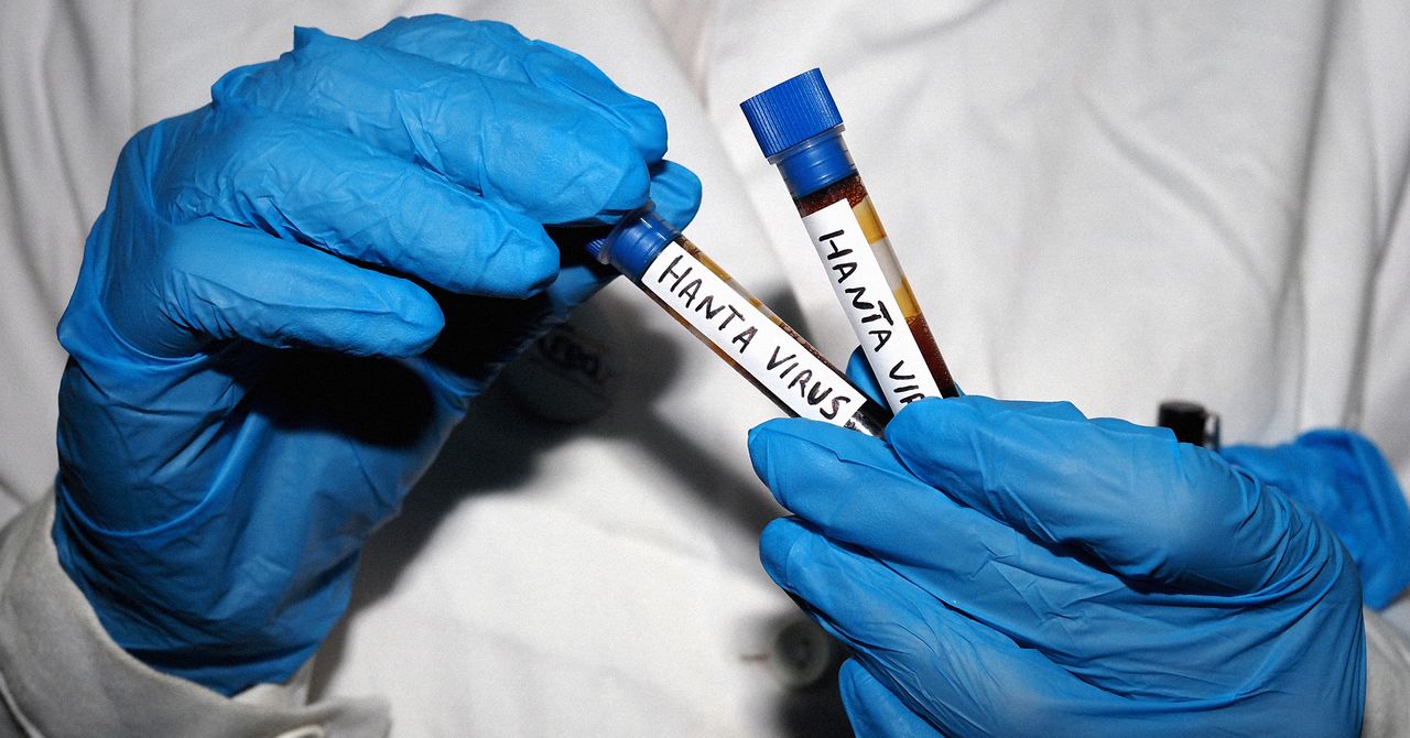 All Your Hantavirus Questions, Answered by an Infectious Disease Expert