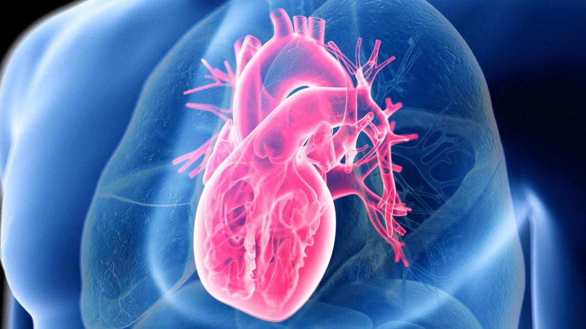 Giant Study Reveals The Secret to Heart Health Isn't Low-Carb or Low-Fat : ScienceAlert