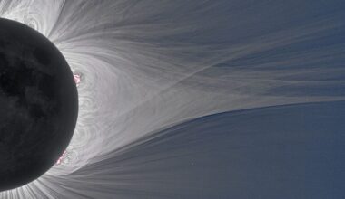 The Sun Blasted a Mysterious Radio Signal for 19 Straight Days. Here's What We Know