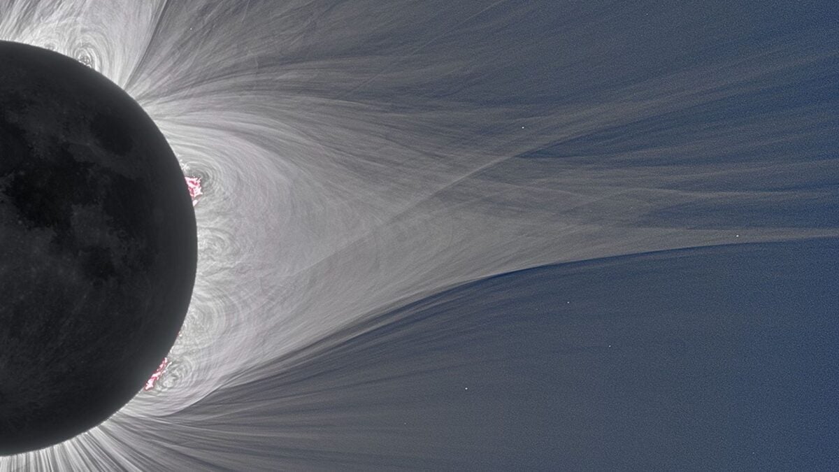 The Sun Blasted a Mysterious Radio Signal for 19 Straight Days. Here's What We Know