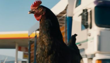 Hen review — 'Chicken Run for intellectuals'