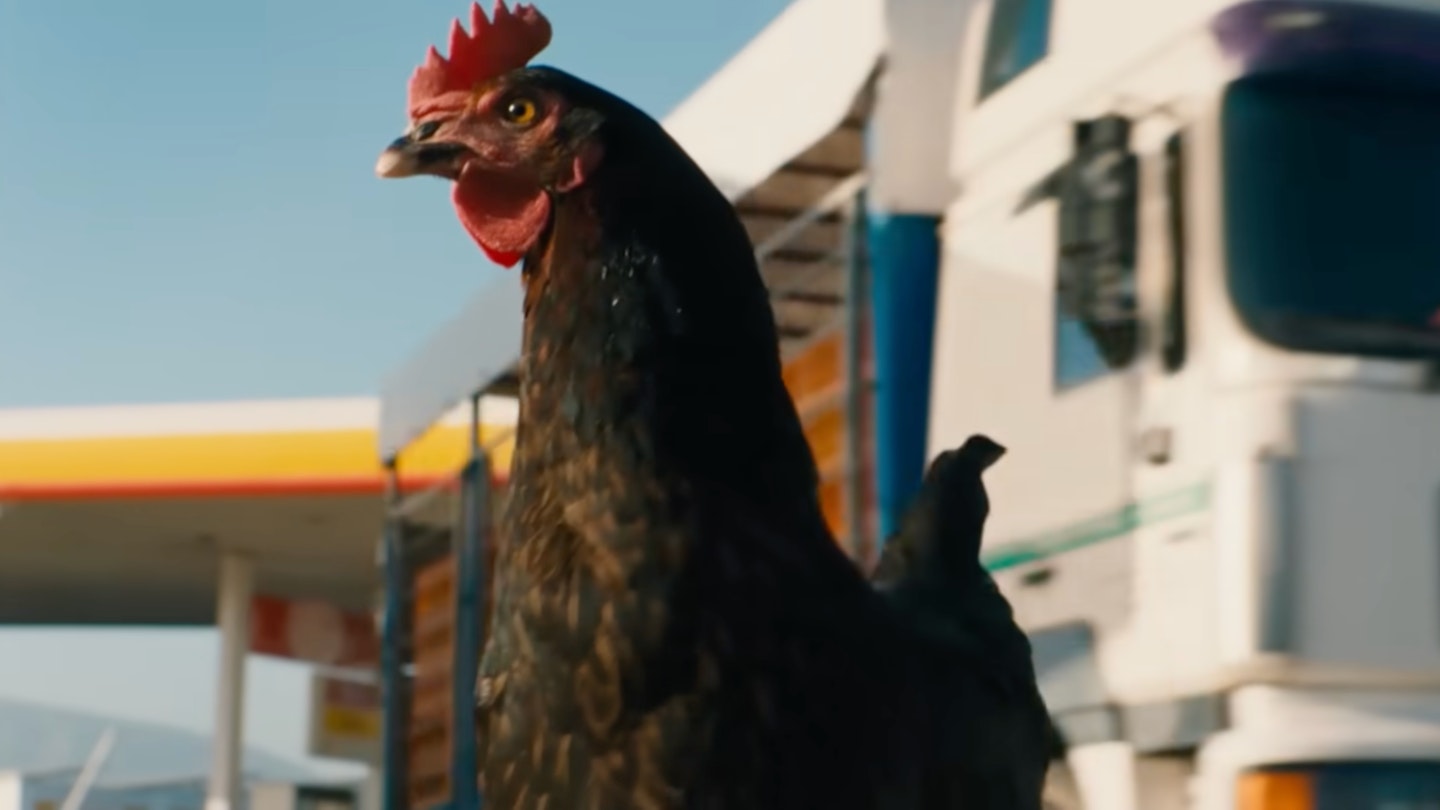 Hen review — 'Chicken Run for intellectuals'