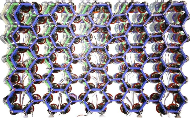 Hexagonal Active Metamaterial Lattice Demonstrates Collective Motion and Elasticity Properties