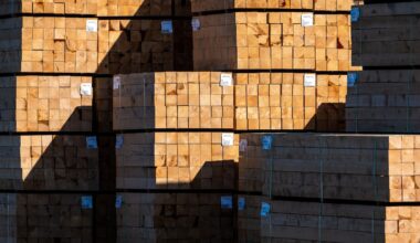 Ottawa rolls out supports for B.C.’s beleaguered forestry sector