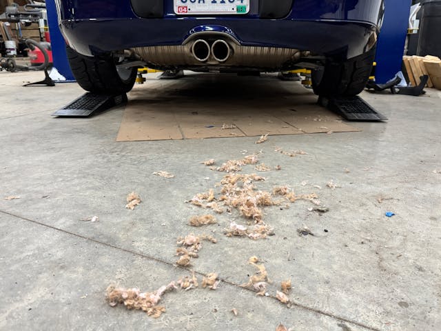Eckart mouse nest tailpipe