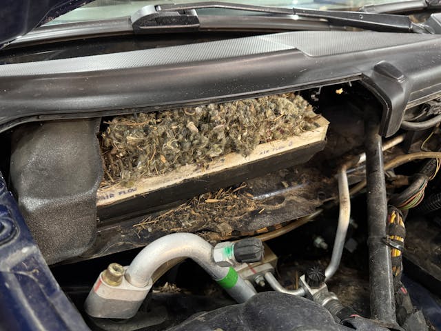 Mouse nest packed on air filter
