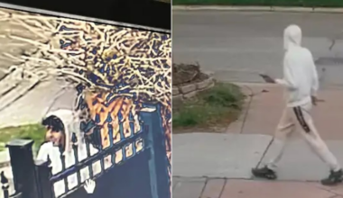 Mississauga sexual assault: suspect sought