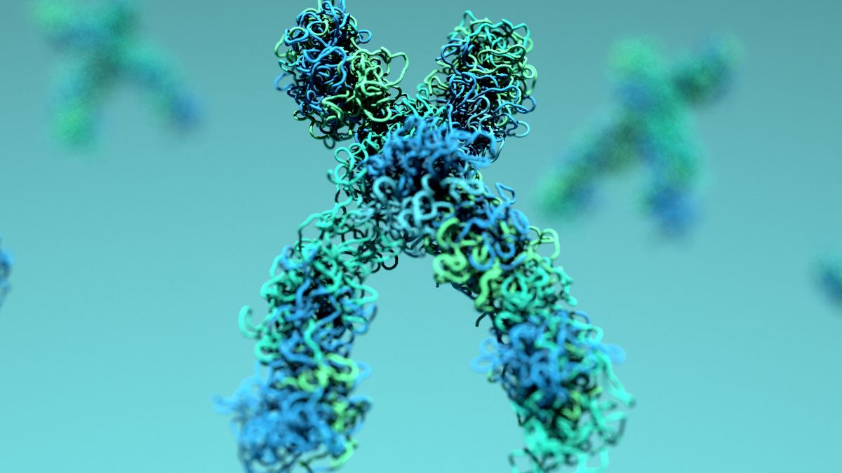 Age-Related 'Unraveling' of DNA May Be Reversible, Study Suggests : ScienceAlert