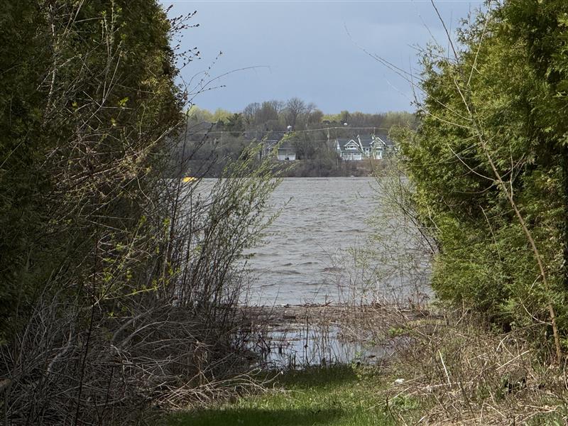 Body found washed up on river bank in Montreal's Pierrefonds