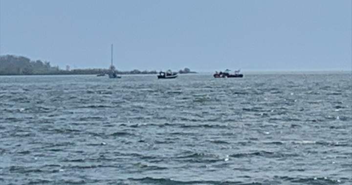 Underwater divers take over search for missing boater in Toronto - Toronto