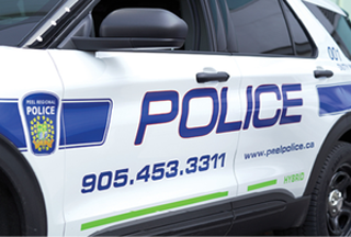 Indian-origin man faces 16 charges for pepper-spraying police, carjacking bid in Canada's Brampton — The Indian Panorama