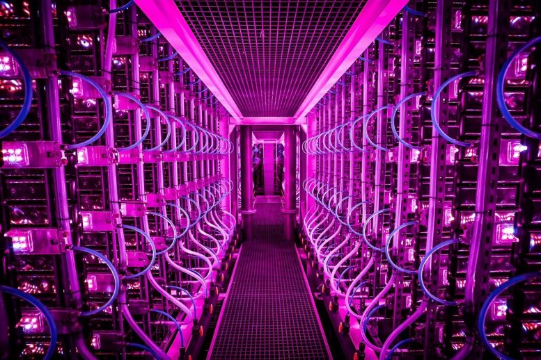 Internal View of the Photobioreactors