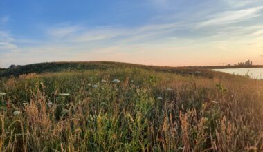 new jim tovey lakeview conservation area opens in mississauga.