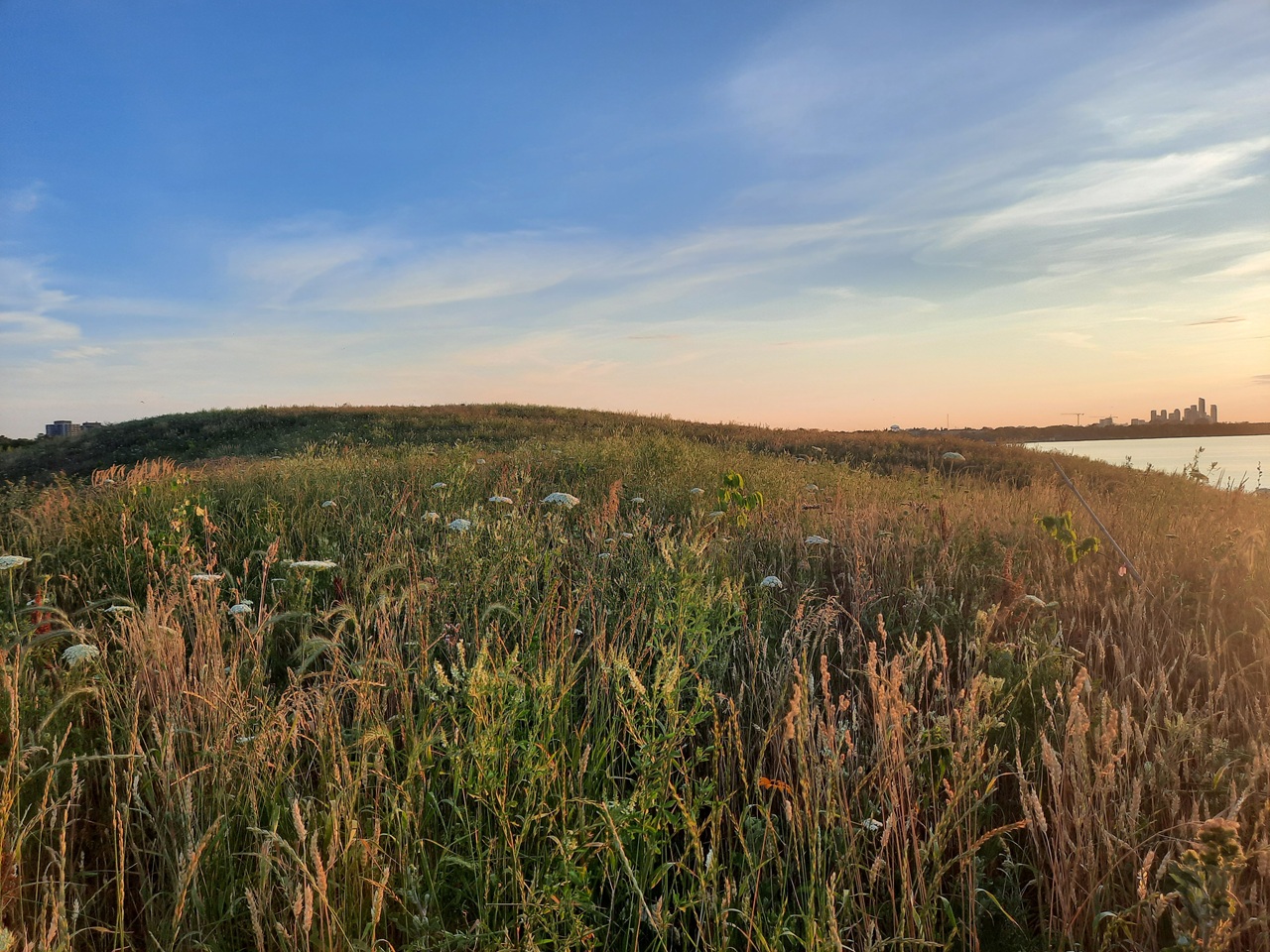 new jim tovey lakeview conservation area opens in mississauga.