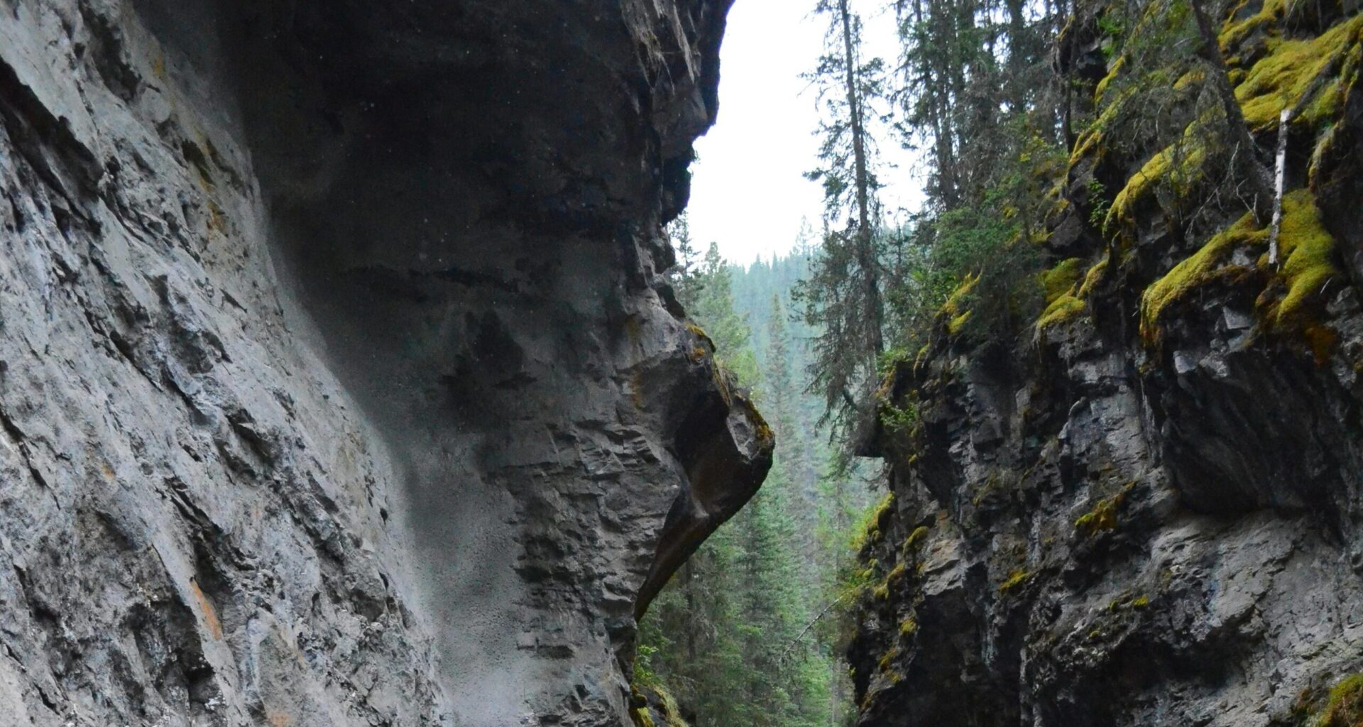 Trails closed after suspected drowning at Banff's Johnston Canyon: RCMP