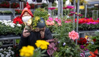 Can Edith, 51, afford to quit her job to care for her parents full time?
