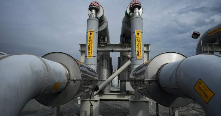 Canada signs LNG deal with Germany, the 1st with a European buyer - National