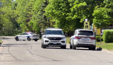 ‘Military artifact’ found in Mississauga backyard: police