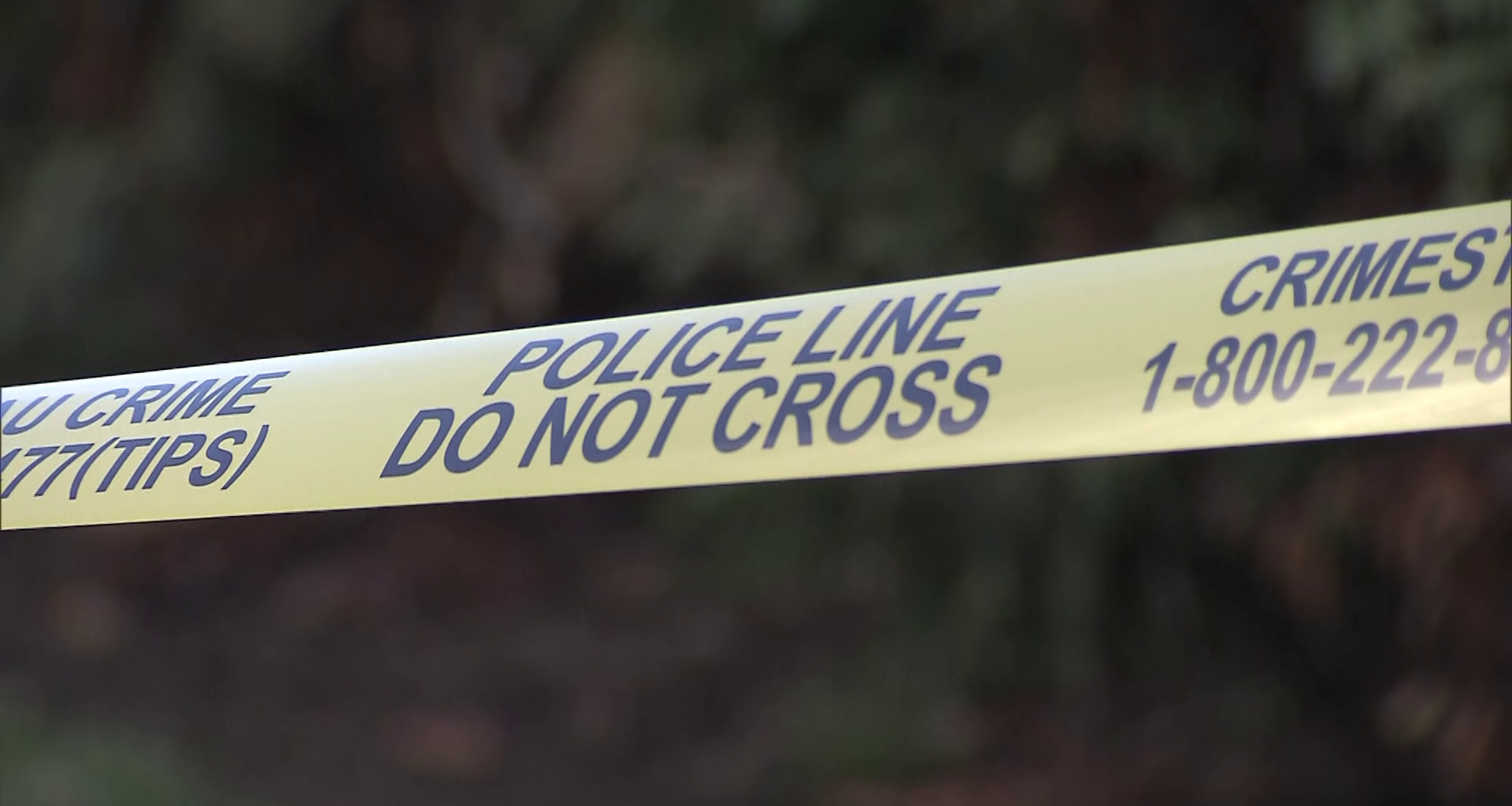 Police investigating targeted shooting in Langley