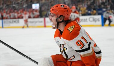 Ducks nearly shut out Golden Knights, send series back to Anaheim at 1-1