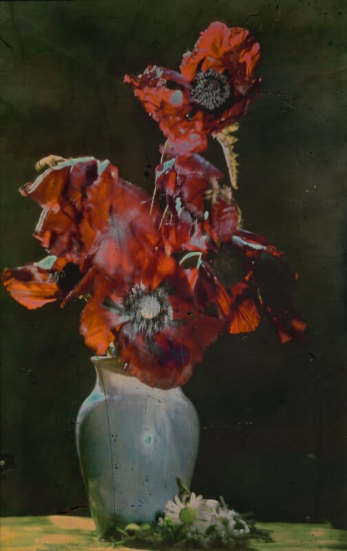 A painting of a white vase holding large, bright red poppies and white flowers, set against a dark, blurred background. The painting has a textured, vintage feel with visible brushstrokes and subtle spots.