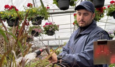 Montreal small businesses absorb rising costs as oil prices climb