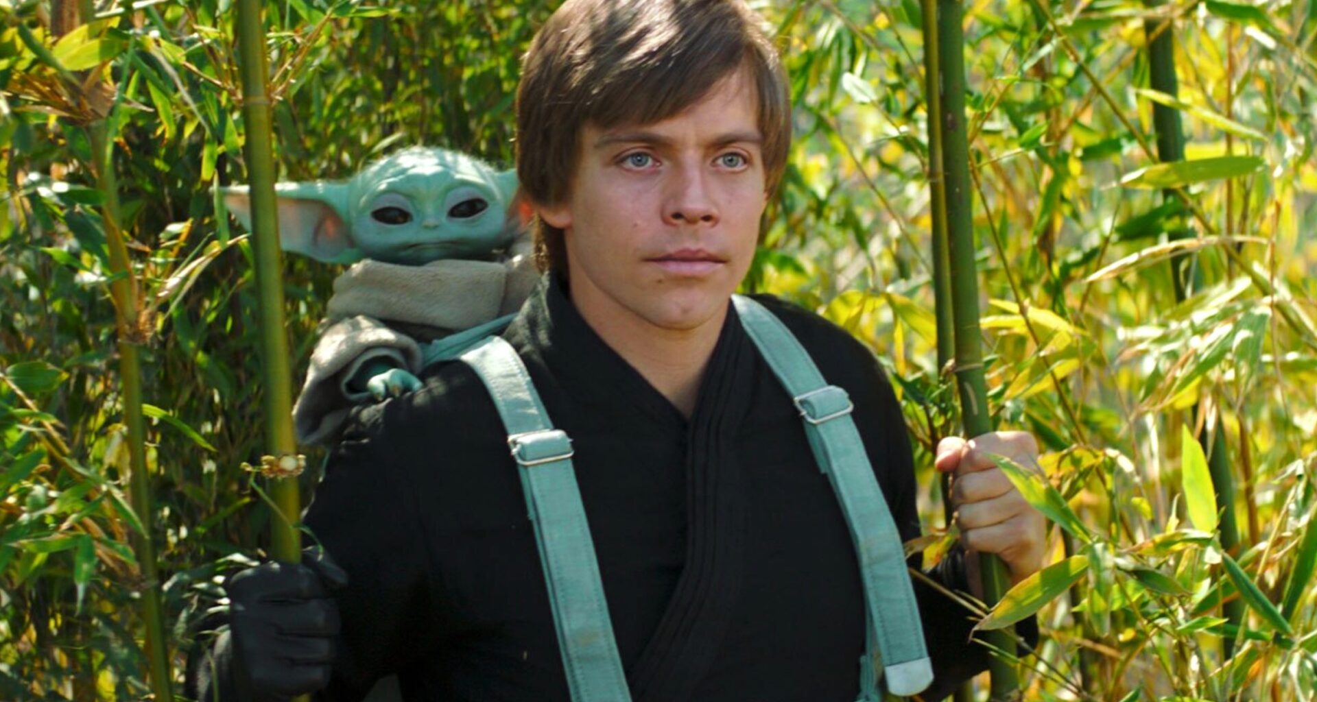 Where Luke Skywalker, Ahsoka Tano & 5 More Star Wars Characters Are During The Mandalorian & Grogu