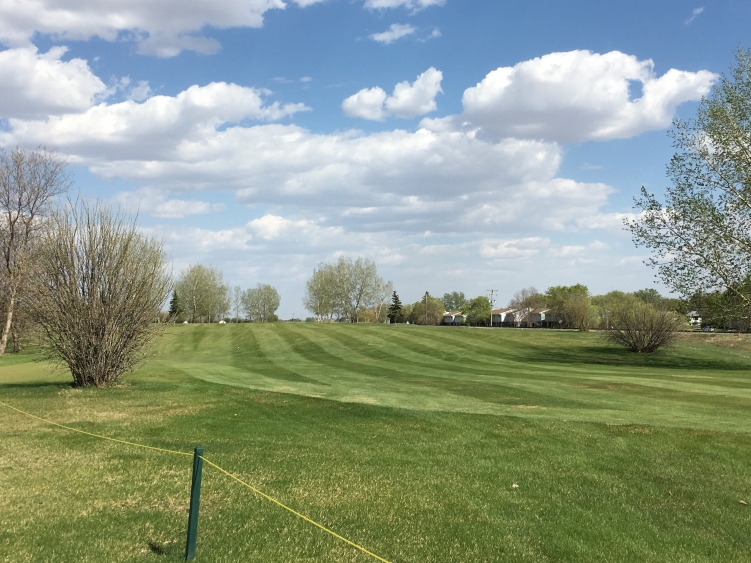 Local golfer drains a hole-in-one - DiscoverMooseJaw.com