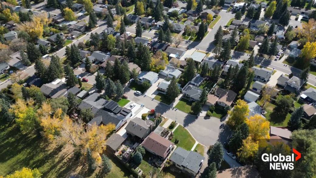 Click to play video: 'Calgary to continue receiving Housing Accelerator Fund after citywide rezoning repeal'