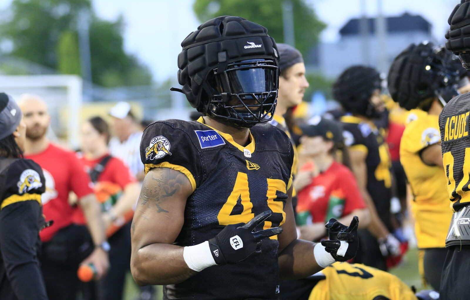 Hamilton Tiger-Cats cut veteran Canadian Kene Onyeka, 22 others