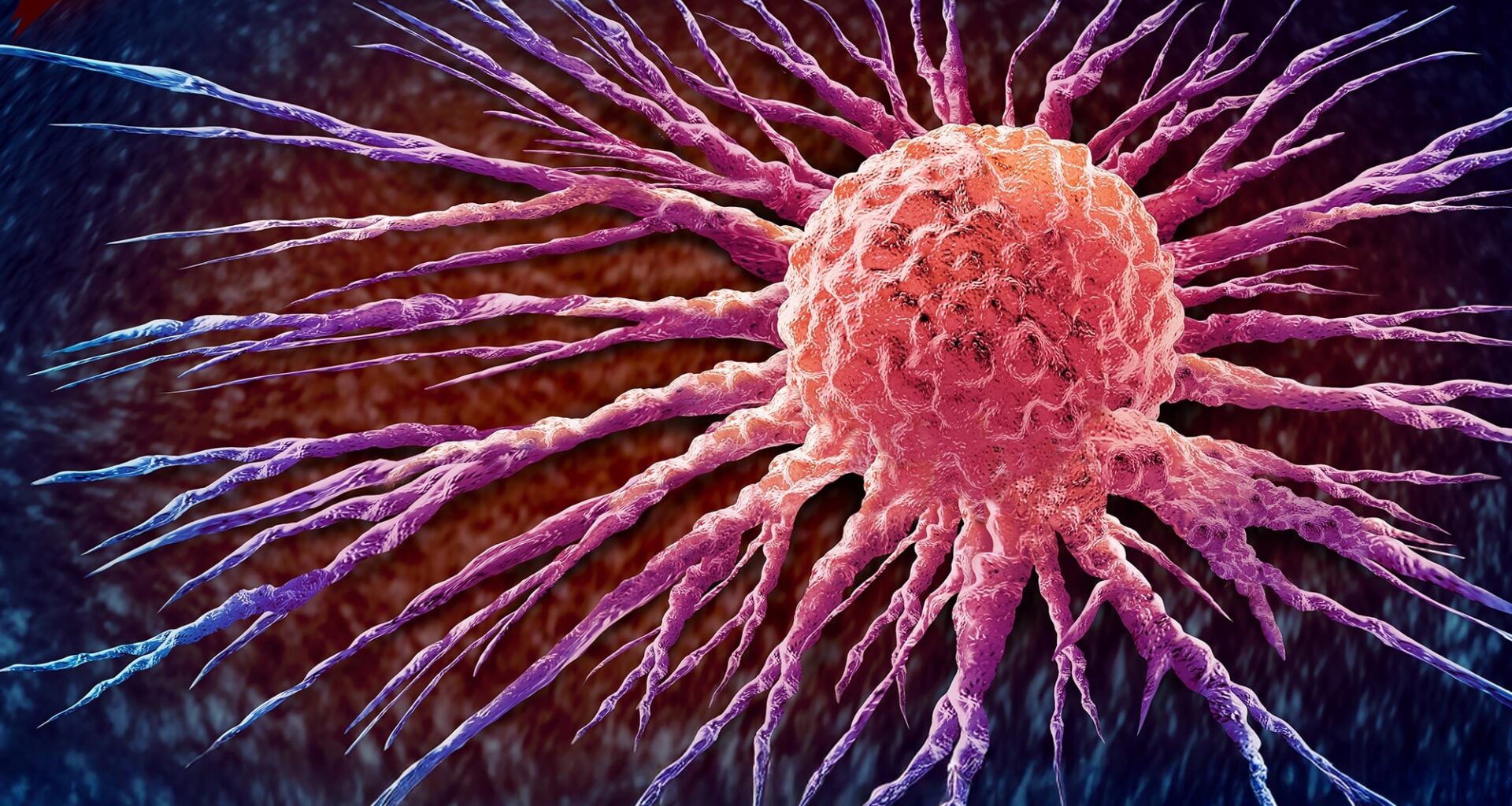 Malignant Cancerous Growth Cancer Cell Spreading