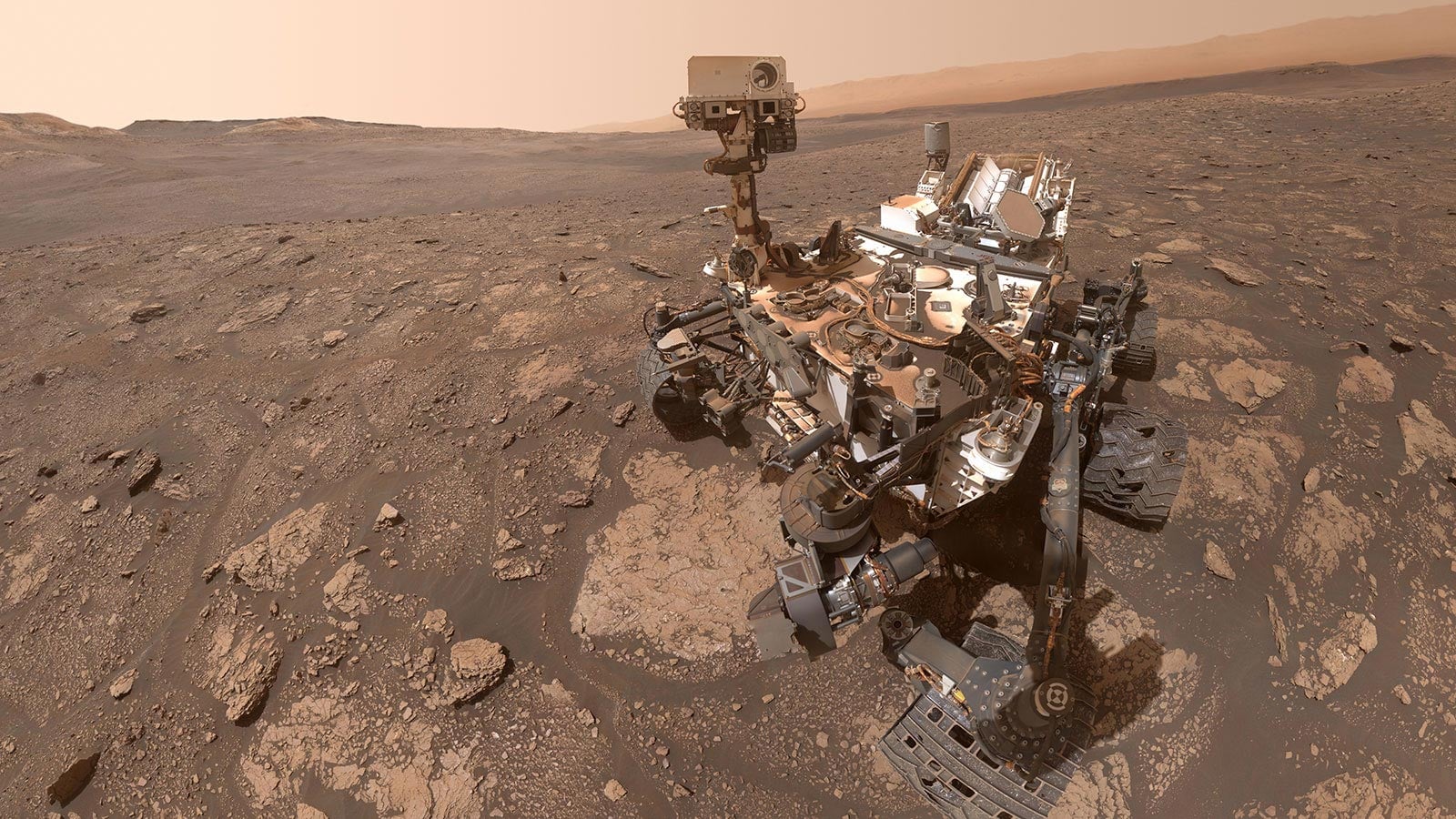 Mary Anning Mars Curiosity Selfie