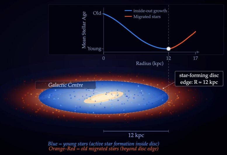 Milky Way Inside Out Growth and Stellar Migration