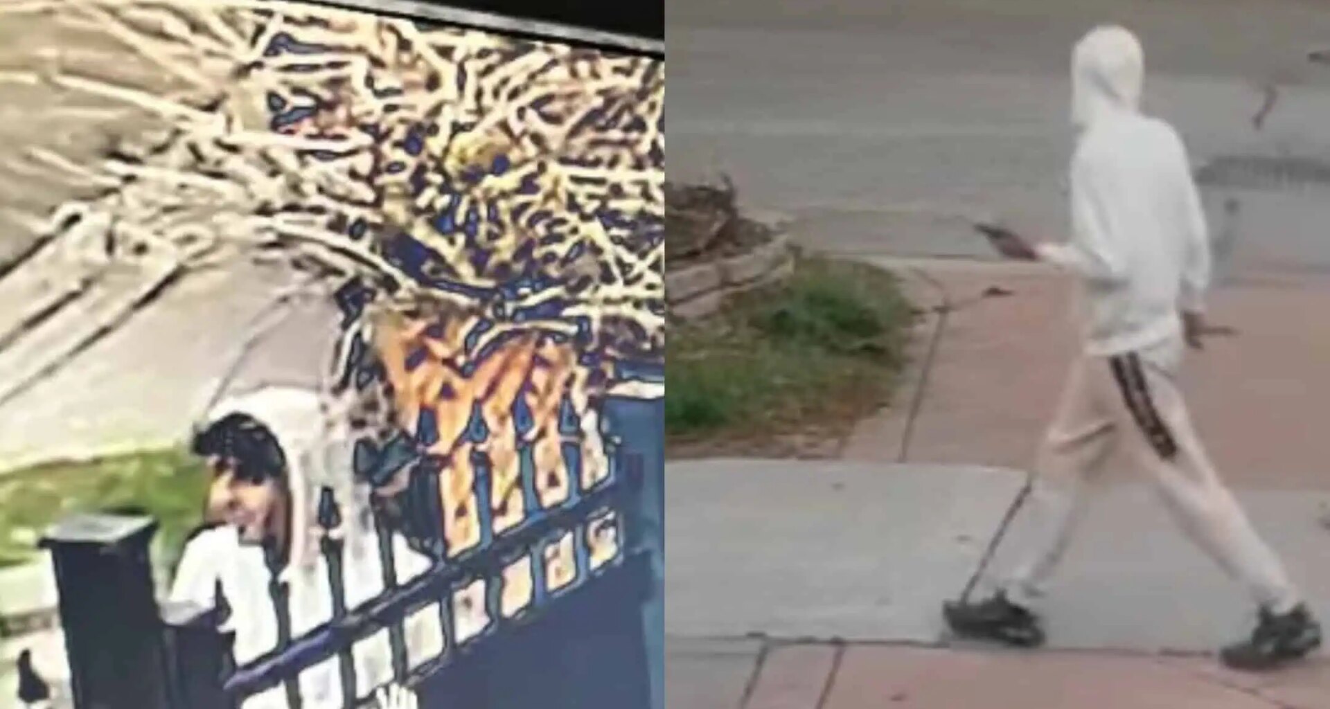 Female sexually assaulted leads to search for suspect in Mississauga: police