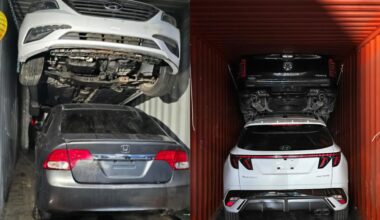 $19M in insurance claims filed in Ottawa from auto thefts
